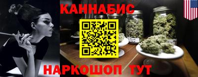индика Жуковский