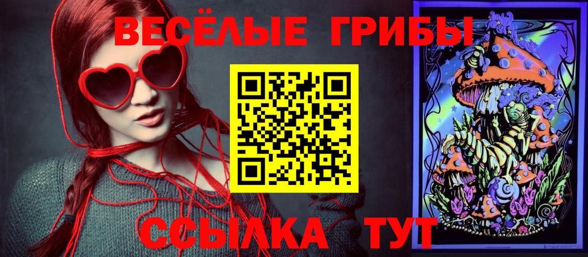 Псилоцибиновые грибы ЛСД  Вход с VPN  Гатчина 